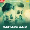 About Haryana Aale Song